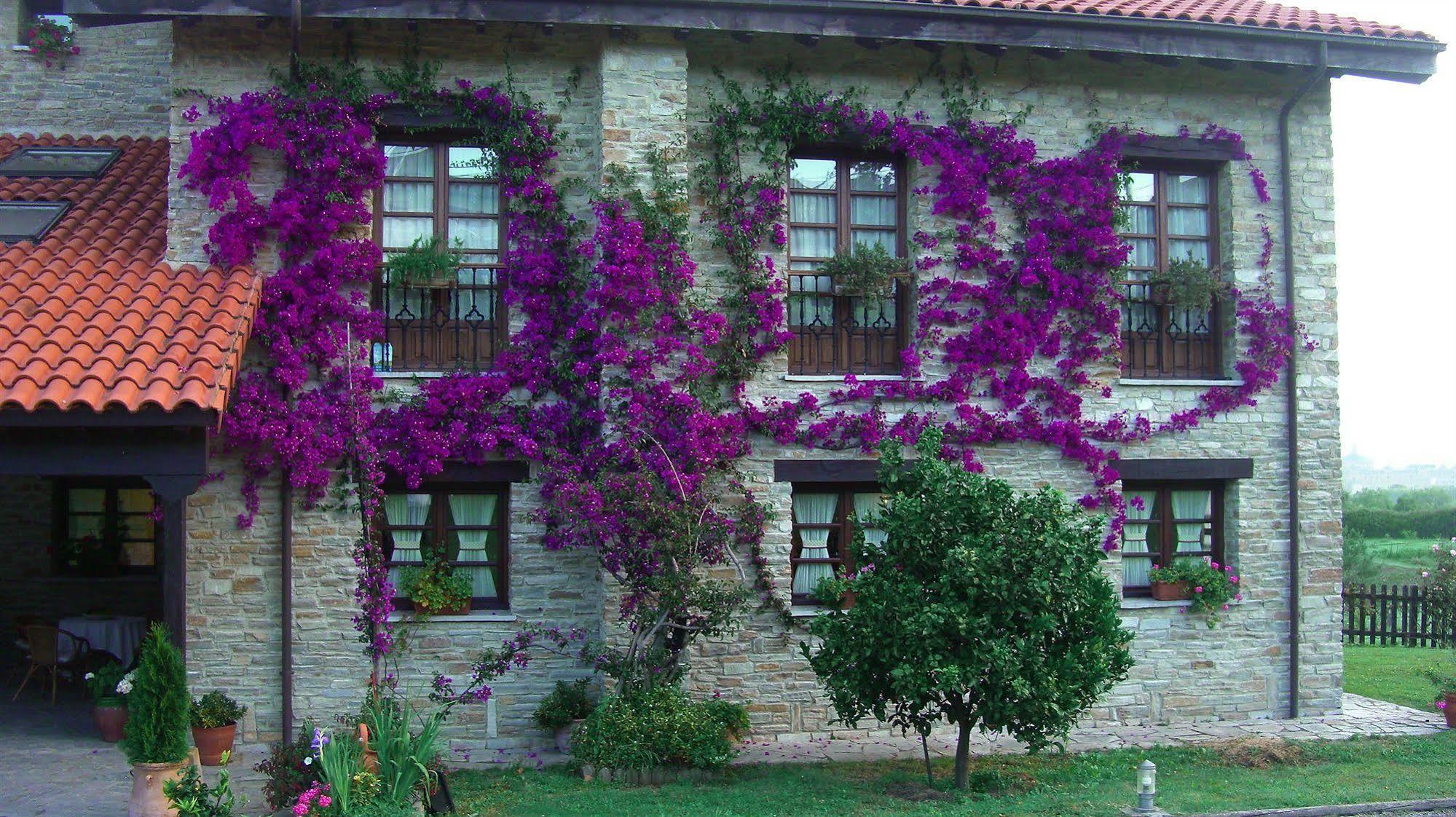 Hotel Rural Casona De Cefontes מראה חיצוני תמונה